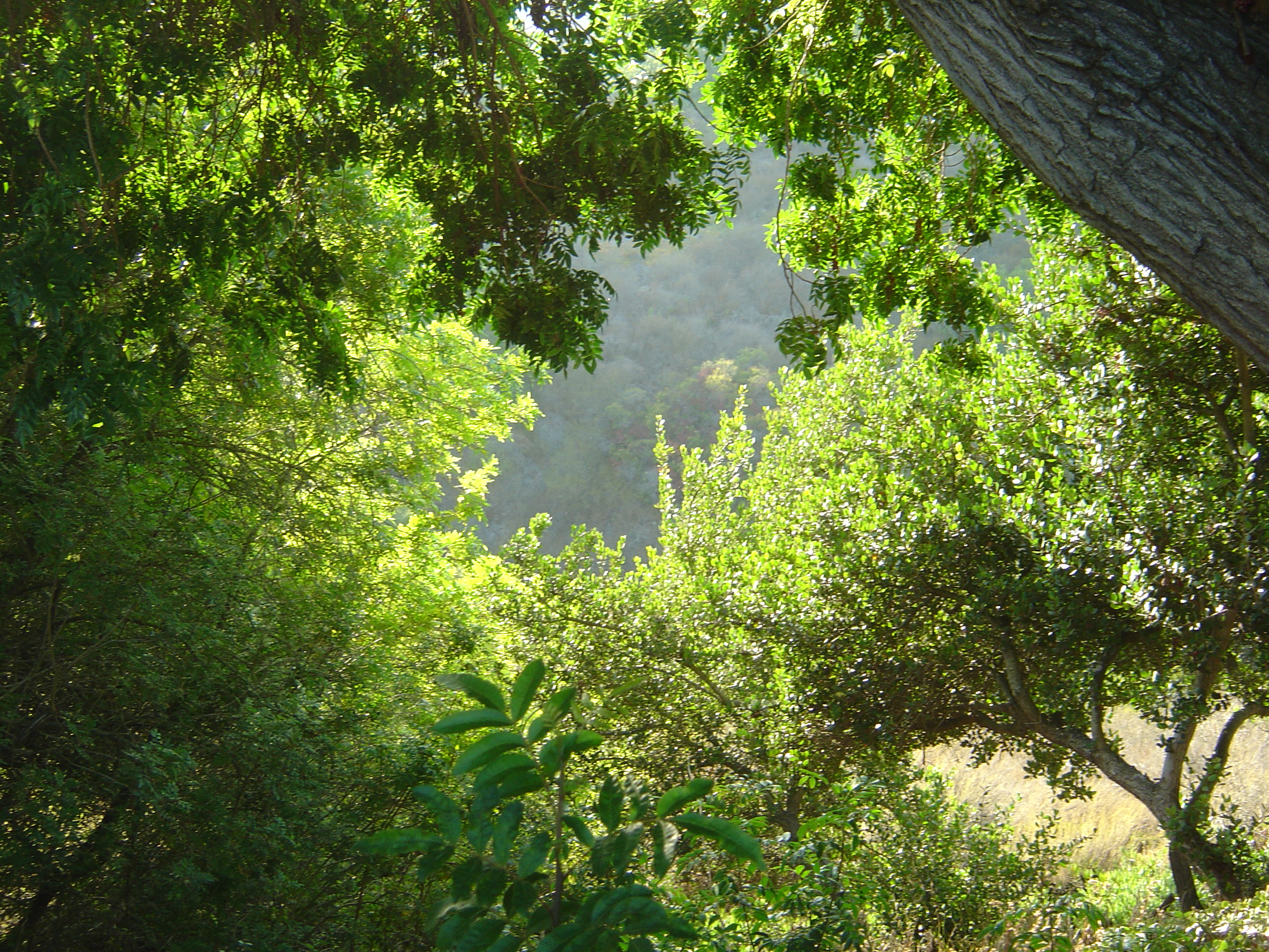 Description of DSC00522