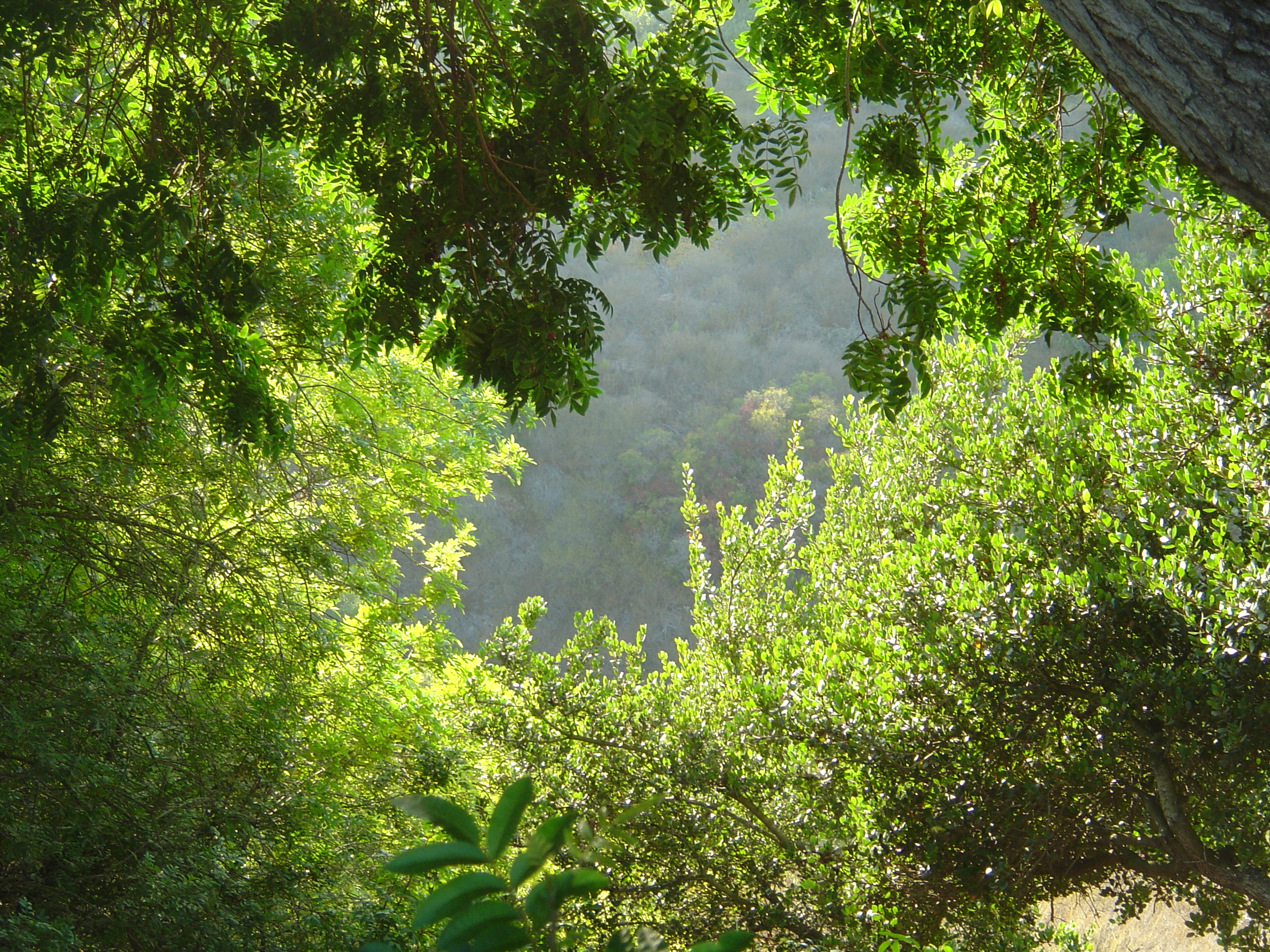 Description of DSC00523
